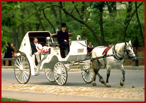 Central Park horse ride in New York City